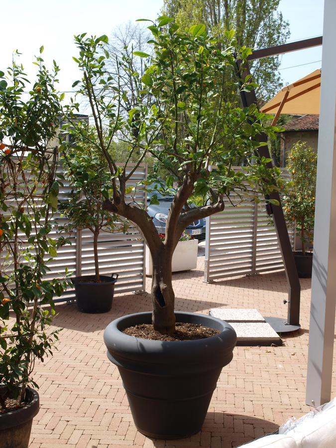 La Cascina Del Sole Hostel Rivarolo del Re ed Uniti Ngoại thất bức ảnh